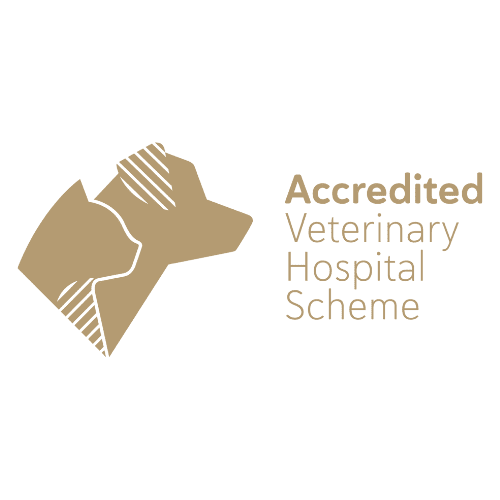 accredited vet
